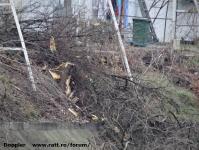 Imagine atasata: Bega - 2014.12.02 - 03.jpg